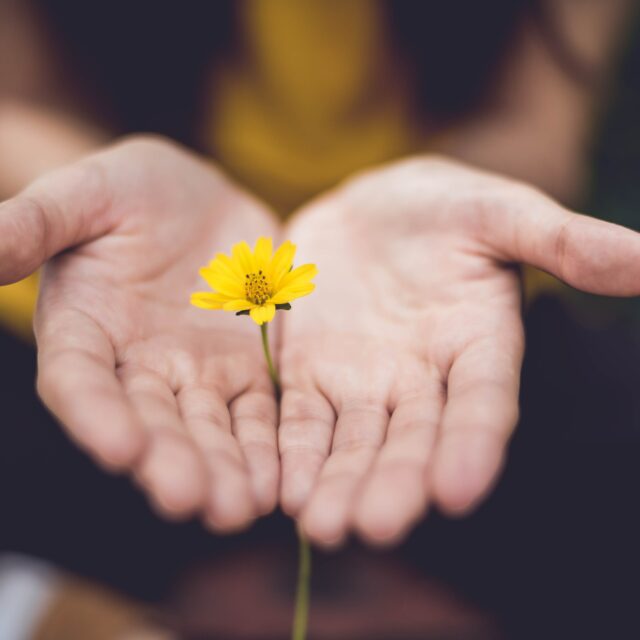 Mindful Movement Yoga Auszeit Achtsamkeit Meditation